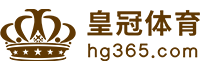 Logo 中欧